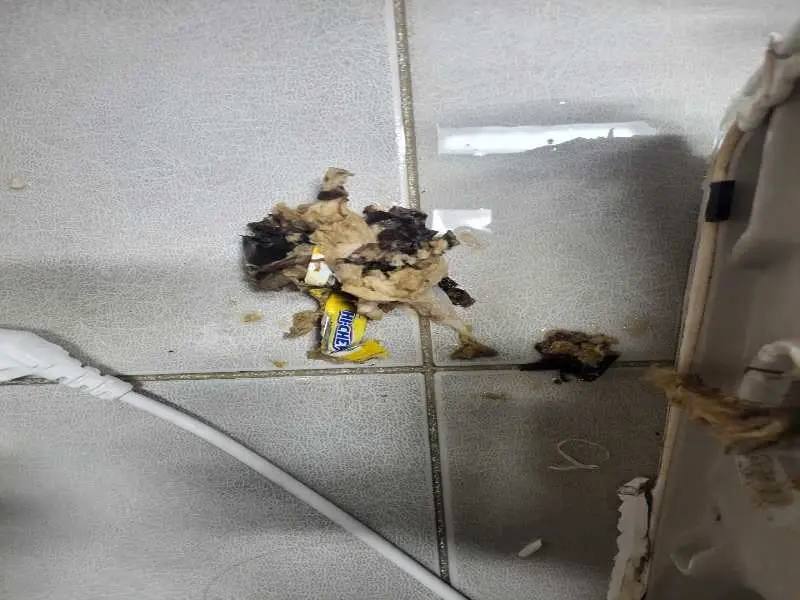 금천구 배관 이물질 제거 사례